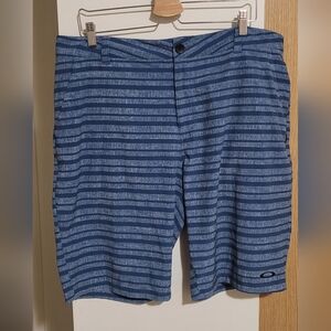 Oakley Men's Blue Striped Shorts